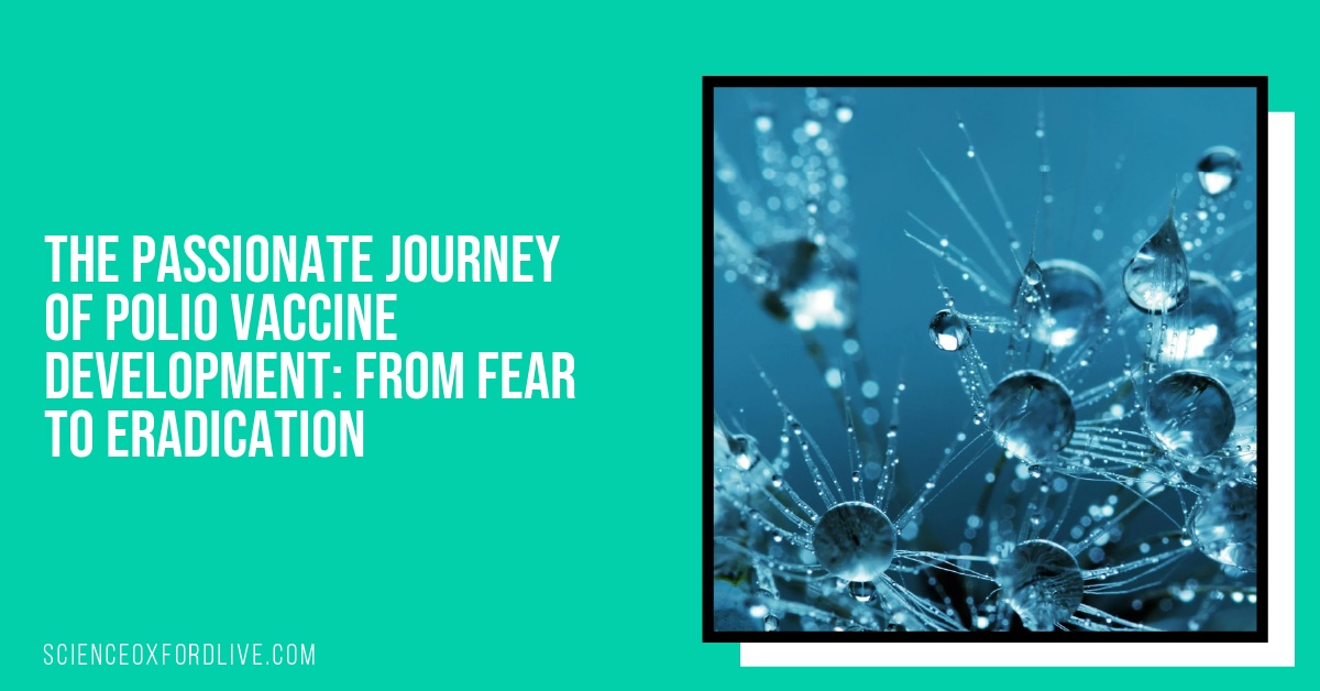 The Passionate Journey of Polio Vaccine Development: From Fear to Eradication