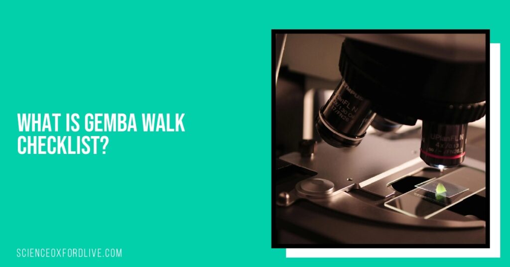 What is Gemba Walk Checklist?