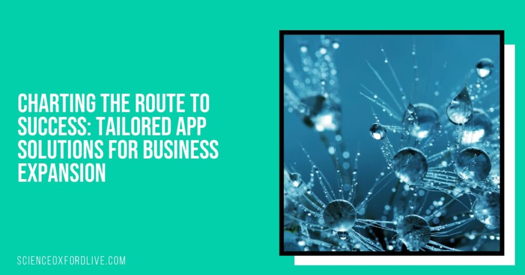 Charting the Route to Success: Tailored App Solutions for Business Expansion